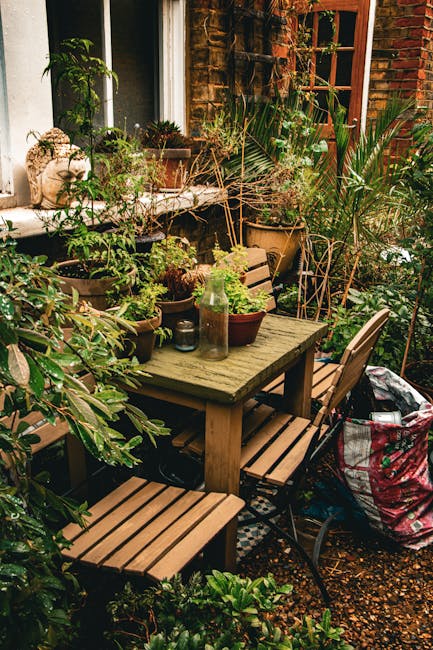 The image depicts a small, cluttered garden patio area adjacent to a brick residential building, with a weathered wooden table positioned centrally, surrounded by four wooden slatted chairs. On the table, there are several potted plants of varying sizes, textures, and shades of green, along with a tall glass bottle and a smaller dark container, indicating a gardening or outdoor leisure setting. In the background, an assortment of large, leafy plants and shrubs in pots and directly in the ground dominate the scene, some of which are placed on a low wall or windowsill beneath a partially open, multi-pane wooden window. The brick wall and window frames are visible, with some plants leaning against or partially obscuring them. To the right side, a large, partially filled black and red striped bag is placed on the ground, possibly used for garden waste or rubbish collection, alongside scattered gravel and debris. The environment appears to be an informal, privately managed outdoor space, with natural lighting and a slightly overgrown, somewhat untidy appearance consistent with an area undergoing periodic garden clearance or private waste management by companies like Waste Disposal Putney.